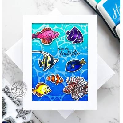 Combo Tampons - Die Hero Arts - Tropical Fishes