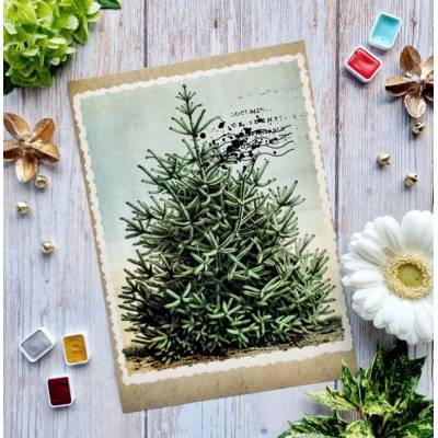 Les Junks It's always tea time - Chou & Flowers