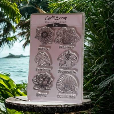 Tampons CartoScrap - Beautés Nature