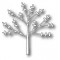 Die Memory Box - Budding Tree