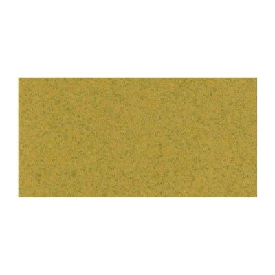 Bazzill Beach - Texture lisse