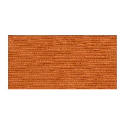 Bazzill Tangelo - Texture Grass Cloth