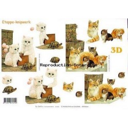 Image Carterie 3D - Chats & Tortue