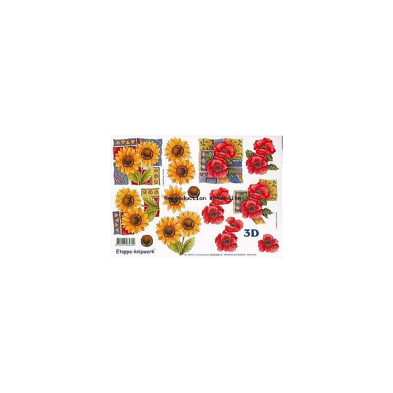 Image Carterie 3D - Tournesols & Coquelicots