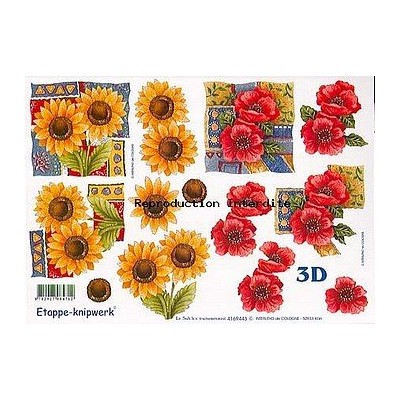 Image Carterie 3D - Tournesols & Coquelicots