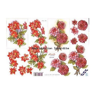 Image Carterie 3D - Fleurs rouges