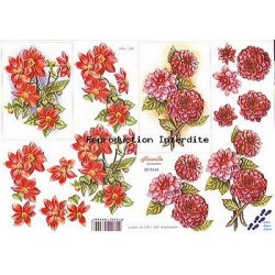 Image Carterie 3D - Fleurs rouges