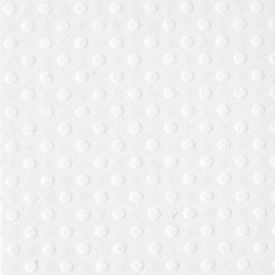 Bazzill Dotted Swiss - Salt