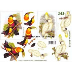 Image Carterie 3D - Toucan & Cacatoes