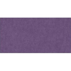 Cardstock AC - Plum (non texturé)