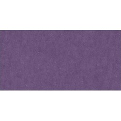 Cardstock AC - Plum (non texturé)