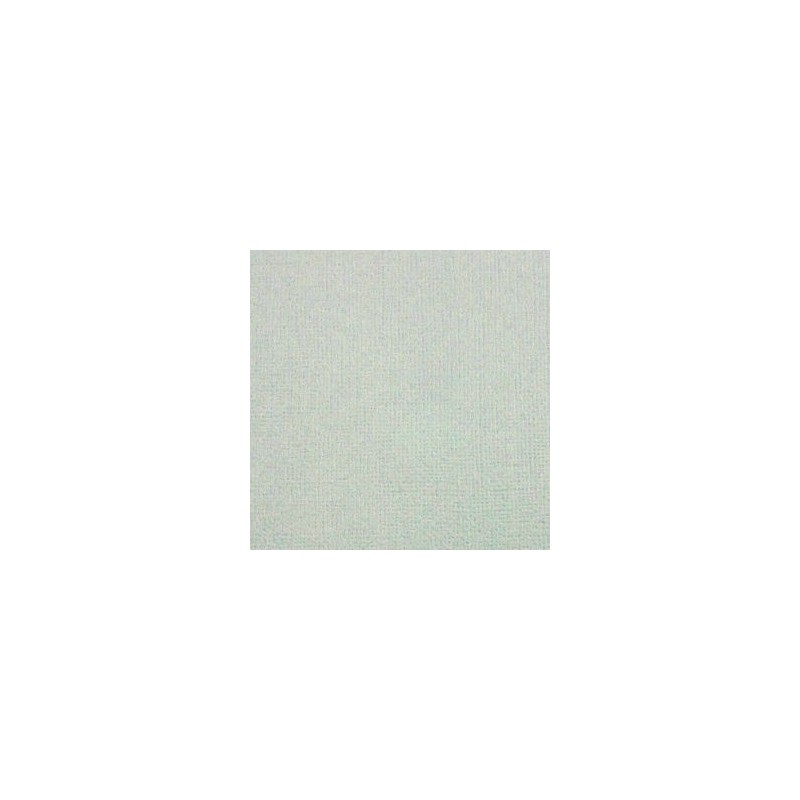 Cardstock texturé canvas - Coloris Gris Tourterelle