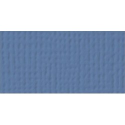 Cardstock AC - Blue Jay