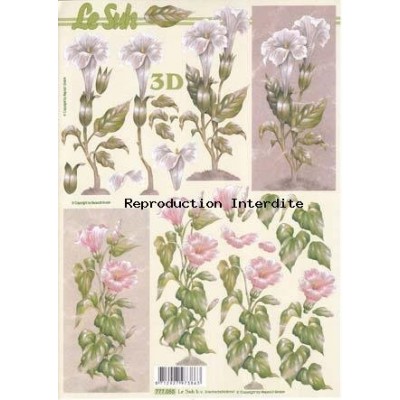 Image Carterie 3D - Fleurs roses et blanches sur tiges